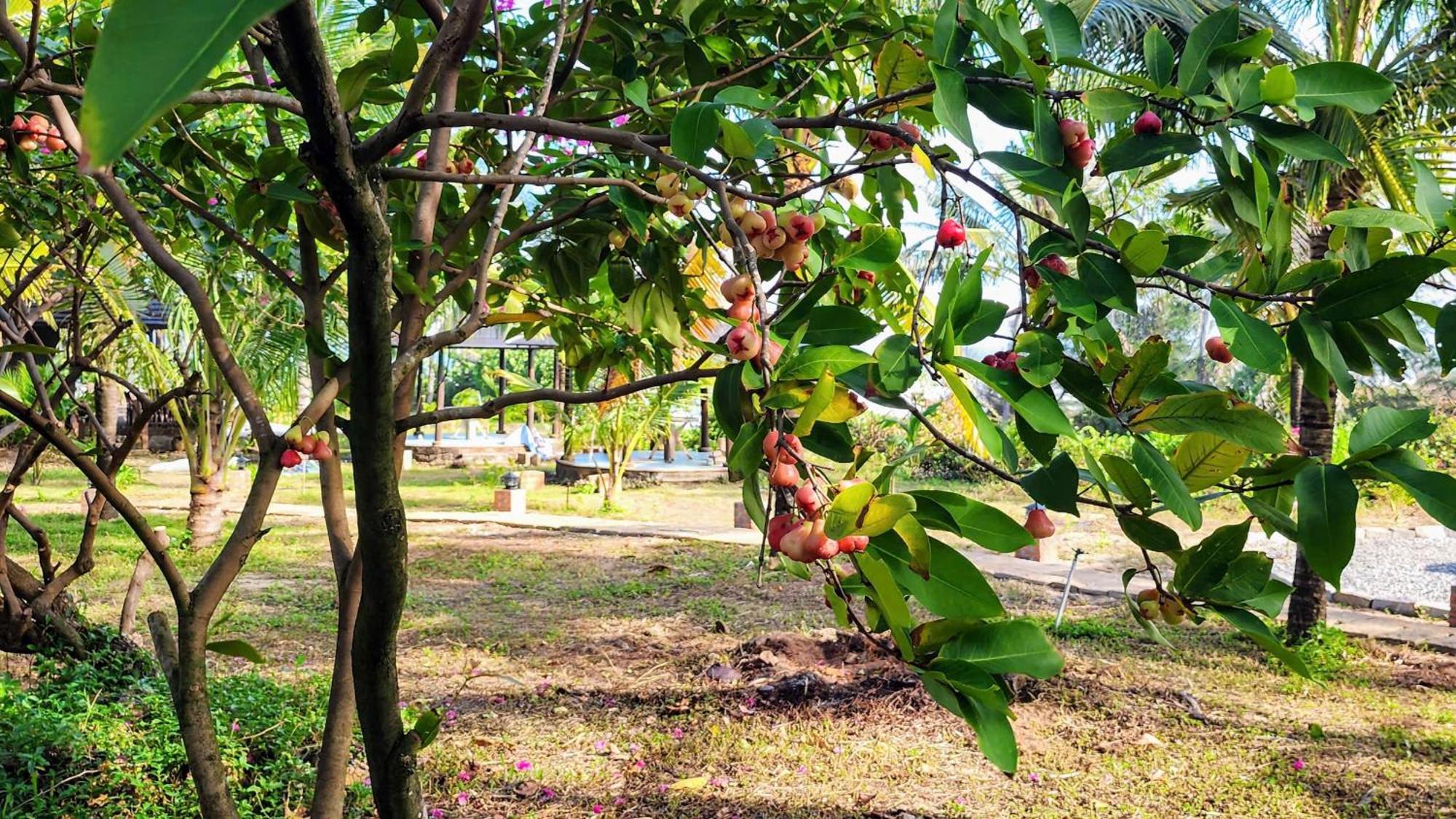 Zen Resort - Villa Beach- Garden Xom Tram Ngoại thất bức ảnh