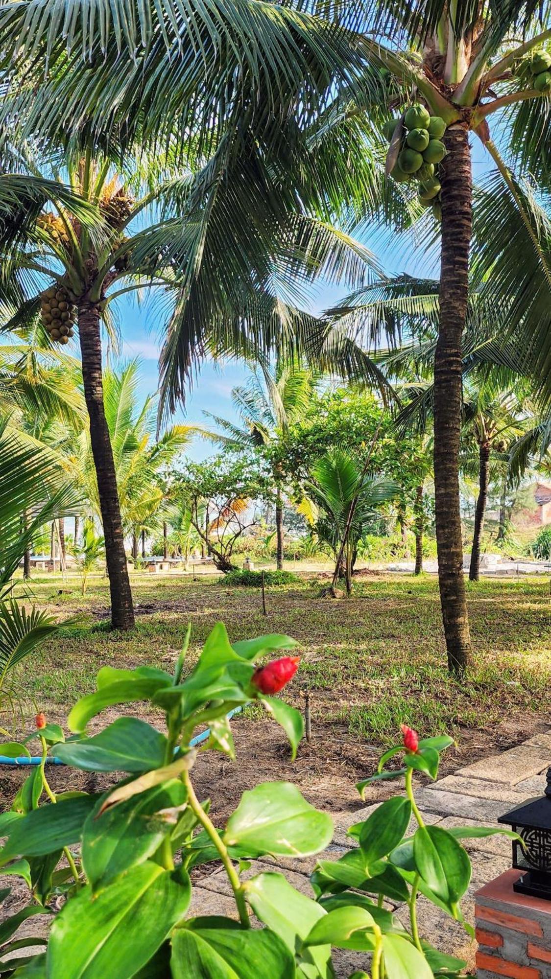 Zen Resort - Villa Beach- Garden Xom Tram Ngoại thất bức ảnh